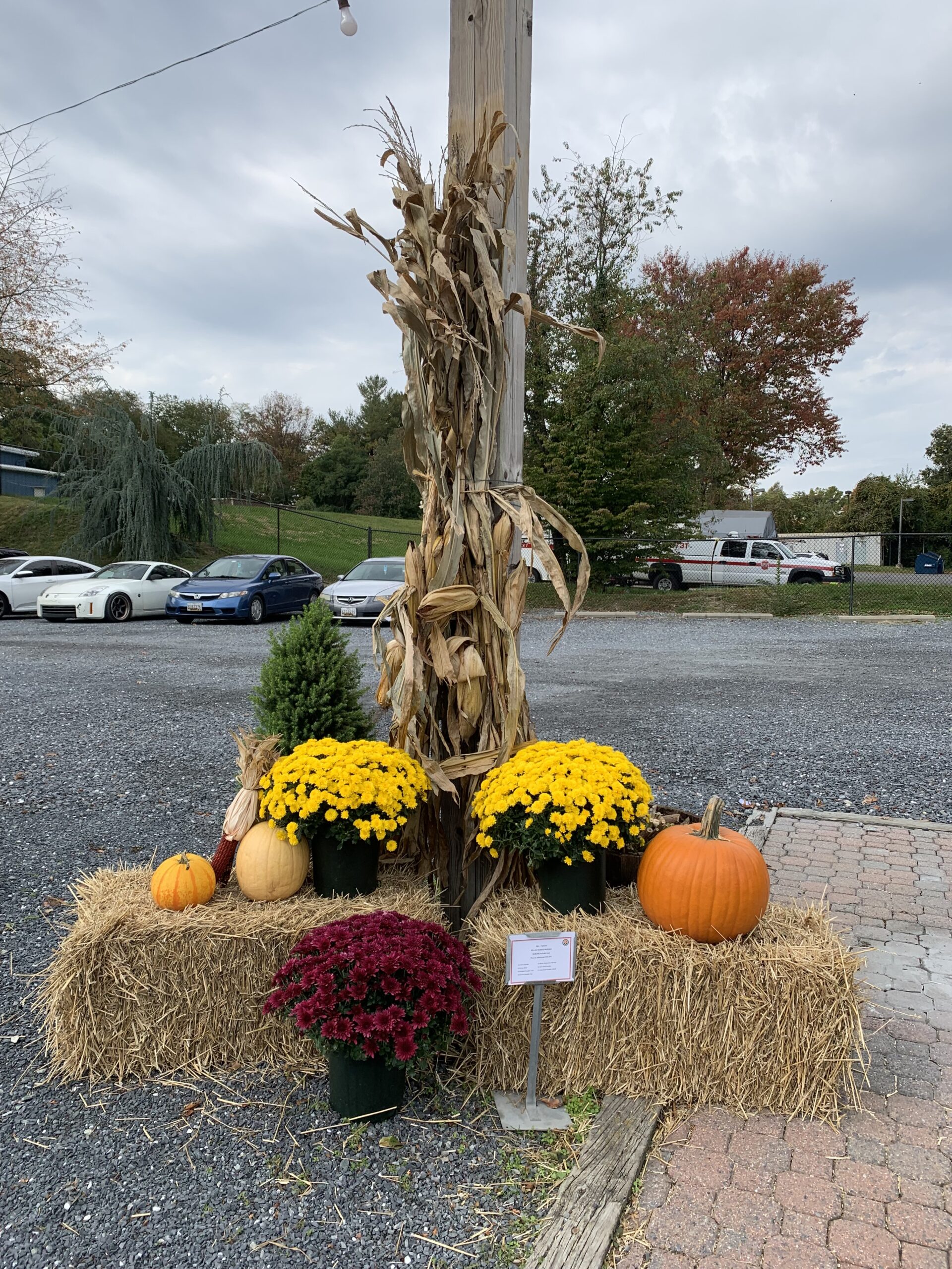 Potomac Garden Center Home Page Potomac Garden Center