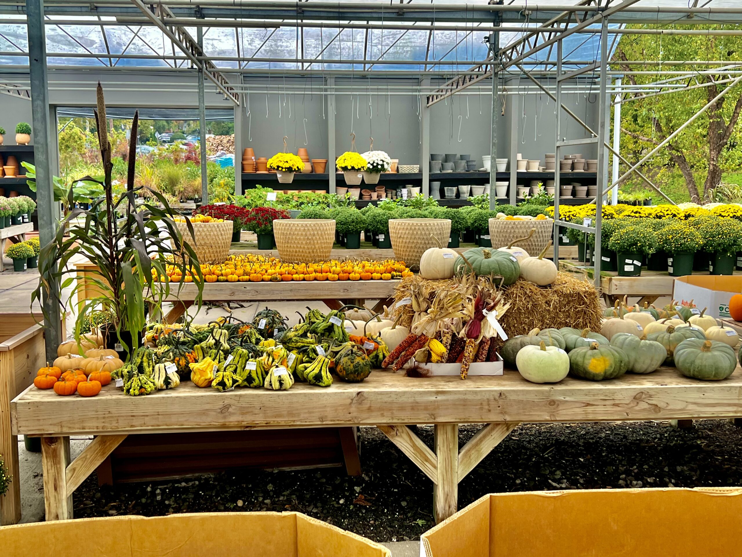 Potomac Garden Center Home Page Potomac Garden Center